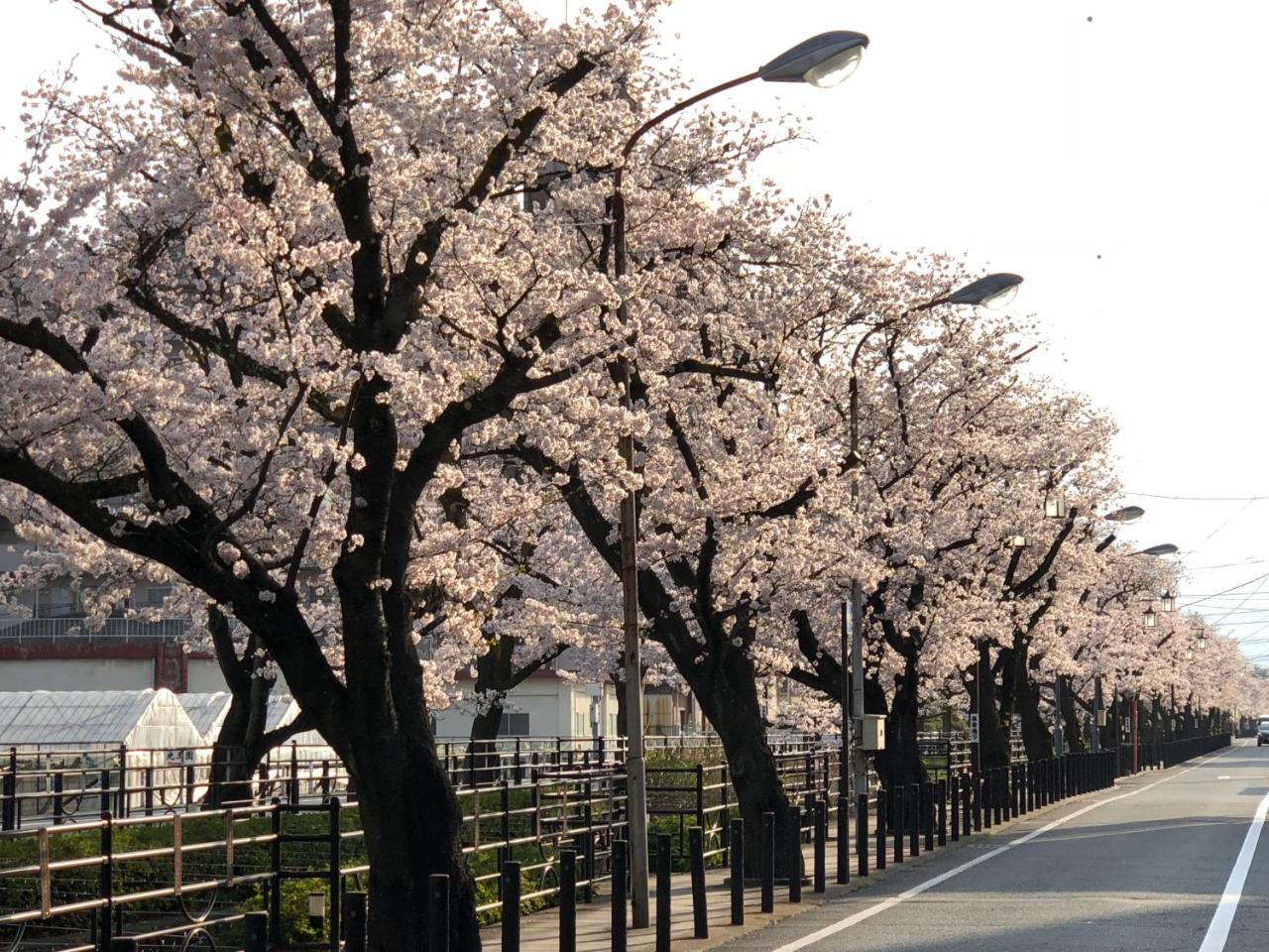 מלון Fuefuki Beautiful Japanese Garden Kagetsu מראה חיצוני תמונה